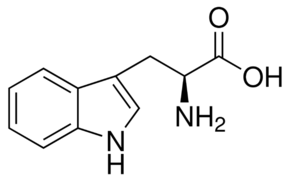L-Tryptophan Formel